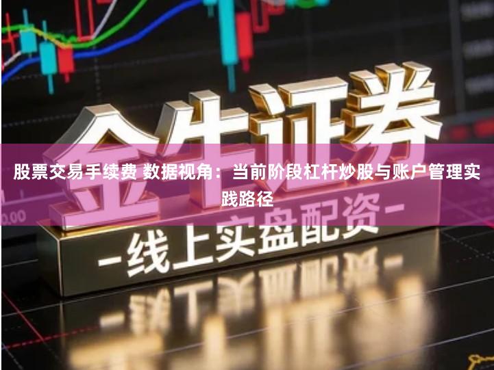 股票交易手续费 数据视角：当前阶段杠杆炒股与账户管理实践路径