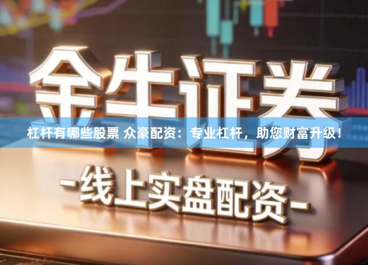 杠杆有哪些股票 众豪配资：专业杠杆，助您财富升级！