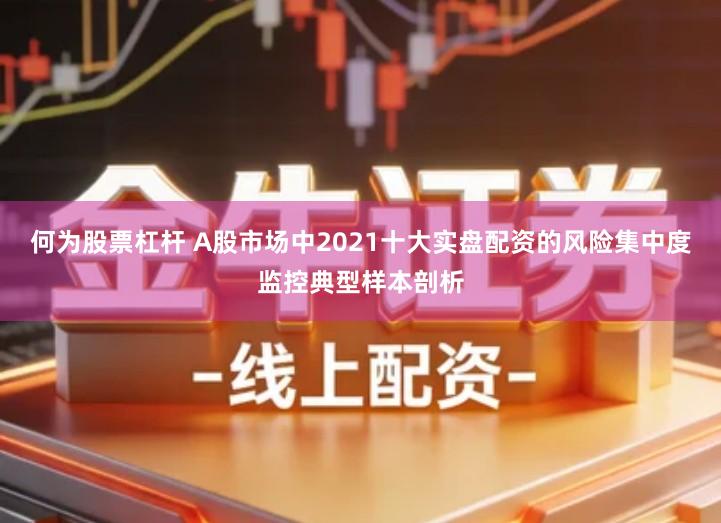 何为股票杠杆 A股市场中2021十大实盘配资的风险集中度监控典型样本剖析
